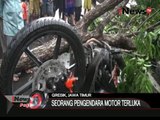 Seorang pengendara Motor Terluka tertimpa pohon tumbang di Gresik - iNews Pagi 31/12