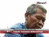 KEREN!!! Lahan kosong diubah menjadi kampung hijau Inovatif - Jakarta Today 06/01