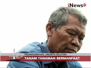 KEREN!!! Lahan kosong diubah menjadi kampung hijau Inovatif - Jakarta Today 06/01