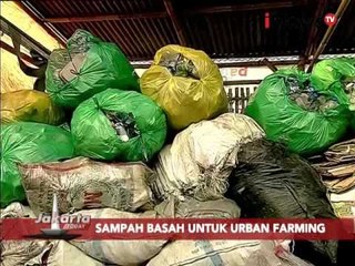 Kreatif, pupuk Organik dari sampah basah - Jakarta Today 06/01