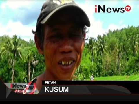 Berikut dampak cuaca ekstrim yang melanda Indonesia - iNews Siang 04/01