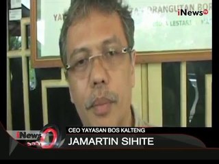 Seekor Orang Utan betina berumur 15 tahun ditemukan mati di Palangkaraya  - iNews Pagi 20/01