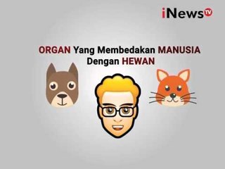 Hati-Hati brainwash, berikut cara menghindari brainwash - iNews Pagi 20/01