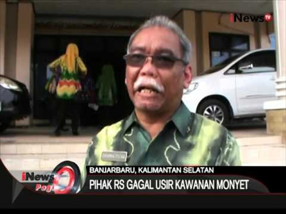 Akibat kebakaran hutan, kawanan monyet setang atap RS di Banjarbaru - iNews Pagi 21/01