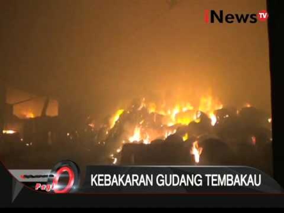 Gudang tembakau di Bondowoso, Jatim ludes terbakar - iNews Pagi 22/01