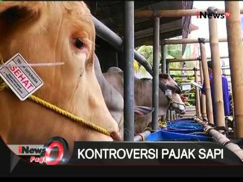 Kontroversi pajak sapi, Wakil komisi IV sebut pemerintah belum siap - iNews Pagi 22/01