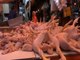 Harga daging mahal, ibu di Rangkasbitung, Tangerang beralih beli tahu tempe - Jakarta Today 28/01