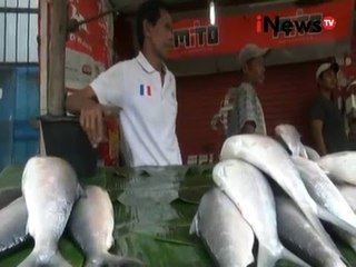 Sidak bandeng berformalin - Jakarta Today 04/02