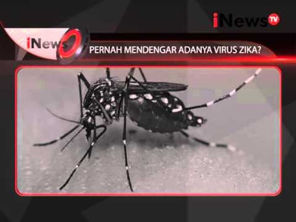 Masyarakat Indonesia masih belum mengetahui Virus Zika - iNews Siang 05/02