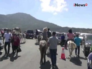 Libur Imlek, ribuan pengunjung padati wisata alam gunung Tangkuban Perahu - iNews Siang 08/02