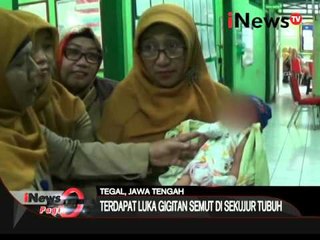 Seorang bayi ditemukan di kebun tebu di Tegal, Jawa Tengah - iNews Pagi 17/02