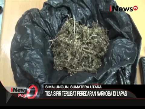 Polres simalungun tangkap sipir pengedar ganja dalam lapas - iNews Pagi 19/02
