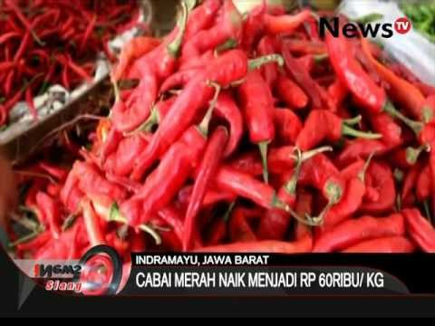 Harga cabai & bawang di Indramayu mengalami kenaikan yang disebabkan gagal panen - iNews Siang 23/03