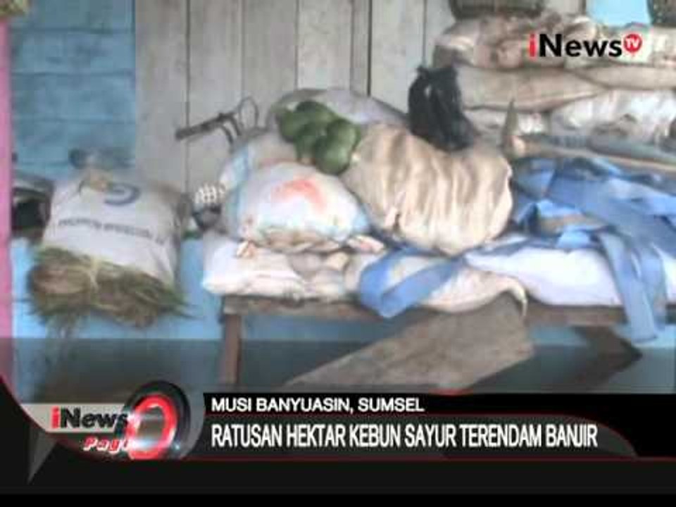 Kebun warga di Musi Banyuasin terendam banjir, kerugian hingga jutaan rupiah - iNews Pagi 14/03