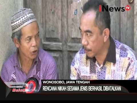 Pernikahan sesama jenis di wonosobo gegerkan warga - iNews Malam 16/03