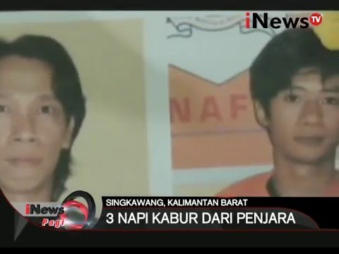 3 Napi Kabur dari Polres Singkawang - iNews Pagi 16/03