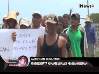 Tolak kebijakan menteri, pembudidaya ikan kerapu di Lamongan gelar demo - iNews Malam 20/03