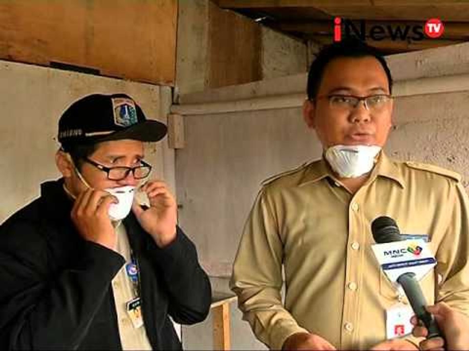 Waspada flu burung, unggas mati secara mendadak - Jakarta Today 22/03