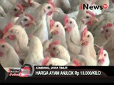 Harga ayam anjlok karena flu burung - iNews Petang 24/03