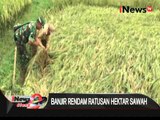 Banjir rendam ratusan hektar sawah di Lampung Timur akibar tanggul jebol - iNews Siang 30/03