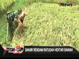 Banjir rendam ratusan hektar sawah di Lampung Timur akibar tanggul jebol - iNews Siang 30/03