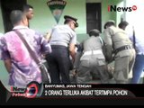 Satpol PP tertimpa pohon dan tiang listrik saat menertibkan bangunan liar - iNews Petang 13/04