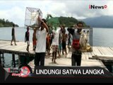 Badan Konservasi SDA Papua lepas 130 satwa liar ke habitat aslinya - iNews Siang 15/04