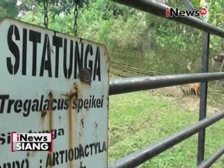 Kandang dan makanan di Bonbin Bandung tidak layak, PKSBI tuntut perbaikan - iNews Siang 20/05