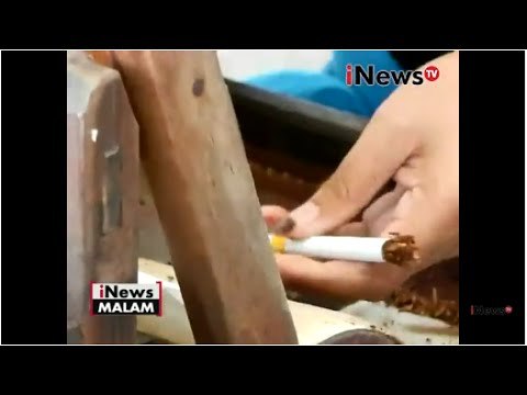 Hari tanpa tembakau dan buruh pabrik rokok, pemerintah pilih siapa - iNews Malam 30/05