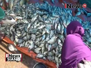 Heboh! ratusan Ton ikan mati di Kuningan - iNews Siang 01/06