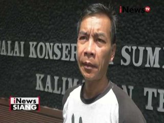 Diduga terpisah dari induknya, BKSDA Kalteng selamatkan bayi orang utan - iNews Siang 02/06