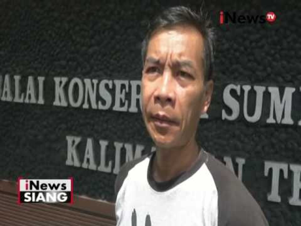 Diduga terpisah dari induknya, BKSDA Kalteng selamatkan bayi orang utan - iNews Siang 02/06