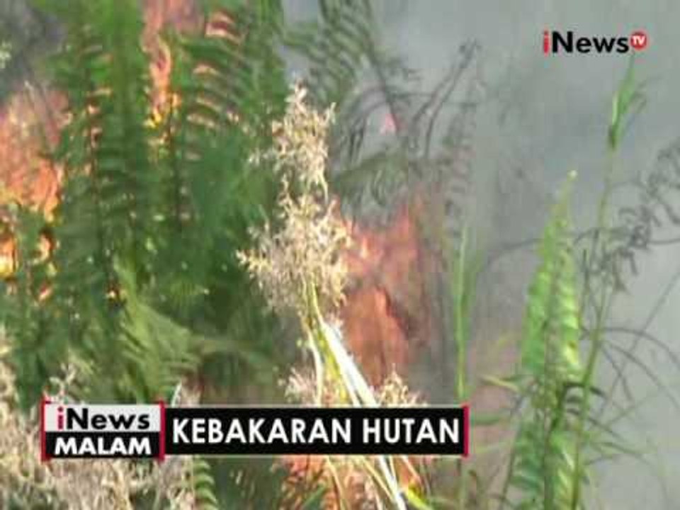 Pemprov Kalteng tetapkan kebakaran hutan di Waringin Barat tanggap darurat - iNews Malam 17/08