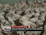 Kurang pasokan, sejumlah pedagang ayam di Semarang berebut ayam dari pemasok - iNews Petang 08/06