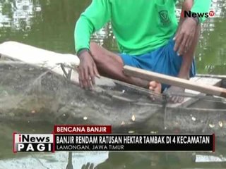 Intestitas hujan tinggi di Lamongan, banjir rendam puluhan tambak warga - iNews Pagi 21/06
