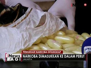 Tải video: Polda Metro Jaya ringkus pengedar narkoba asal Afrika Selatan - iNews Pagi 12/07