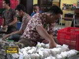 Cahaya Baitullah, ribuan visa embarkasi Surabaya masih belum selesai - iNews Pagi 17/08