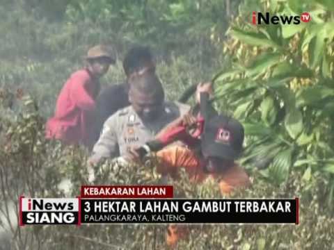 Lahan gambut seluas 3 hektar di Palangkaraya terbakar - iNews Siang 22/08