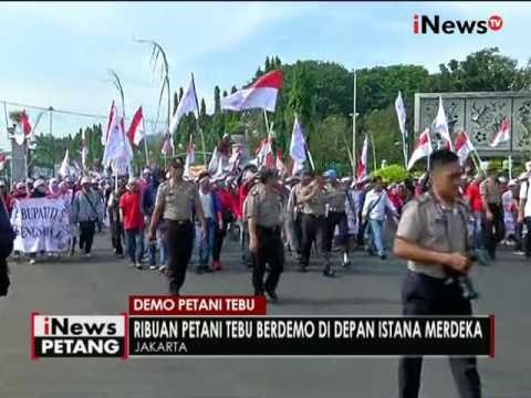 Ribuan massa petani tebu demo tuntun periksa Bupati Tulang Bawang - iNews Petang 22/08