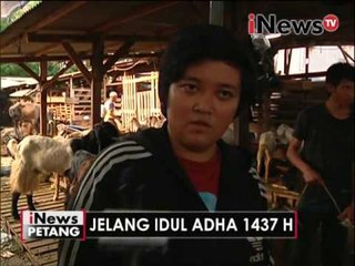Live Report : Laura Elvina, Jelang Idul Adha 1437 H - iNews Petang 08/09