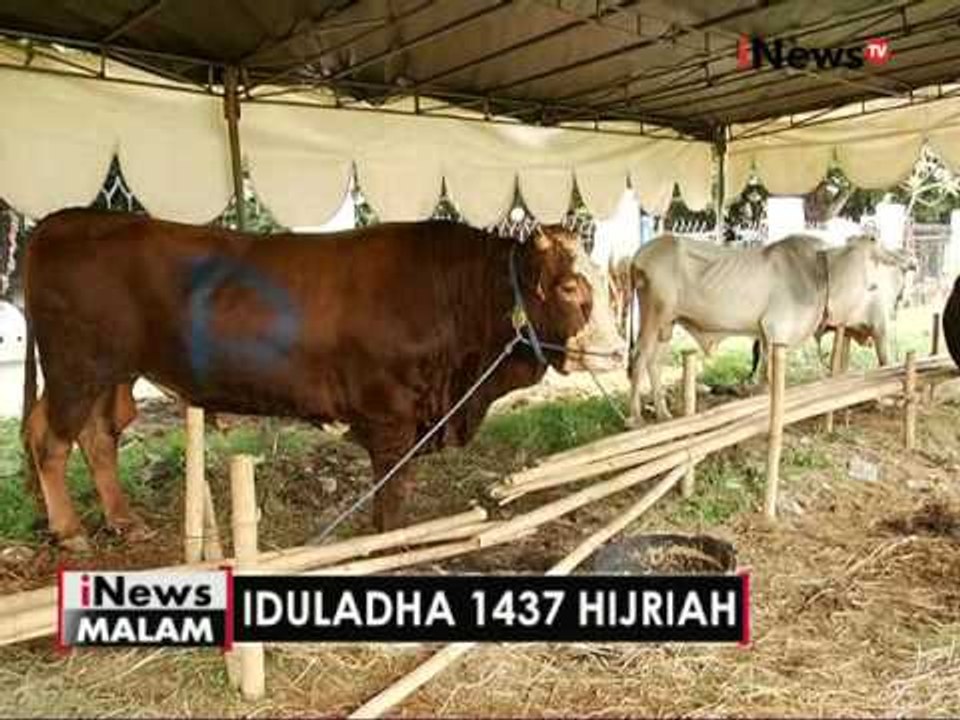 Dalam rangka hari raya Idul Adha, Partai Perindo berqurban di seluruh Indonesia - iNews Malam 11/09