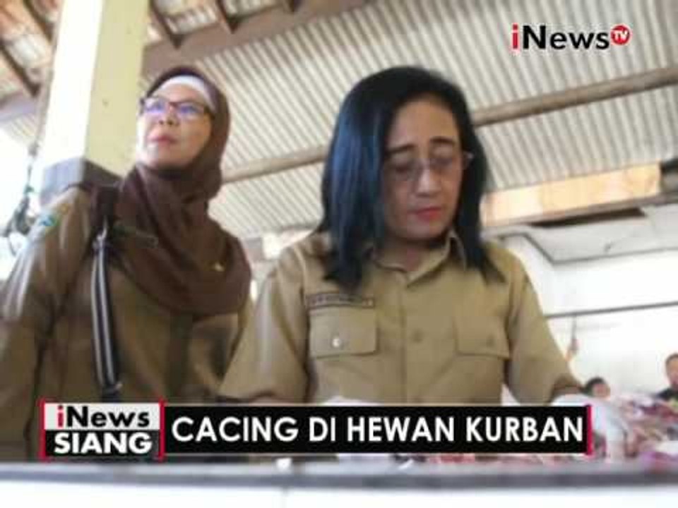 Dinas Peternakan Banyumas temukan cacing di Hati sapi qurban - iNews Siang 12/09