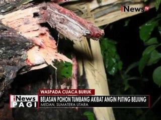 Download Video: Hujan deras dan angin kencang di Medan, robohkan belasan pohon - iNews Pagi 14/09