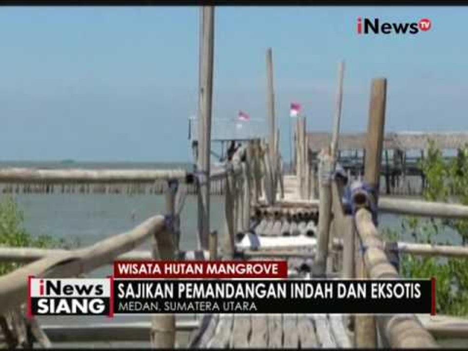 Keindahan hutan Mangrove Medan yang disulap menjadi obyek wisata - iNews Siang 13/09