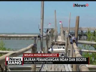 Keindahan hutan Mangrove Medan yang disulap menjadi obyek wisata - iNews Siang 13/09