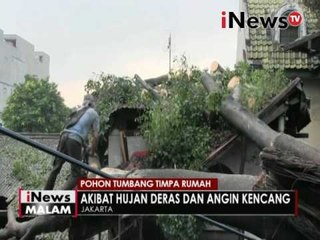 Pohon tumbang timpa rumah - iNews Malam 18/09