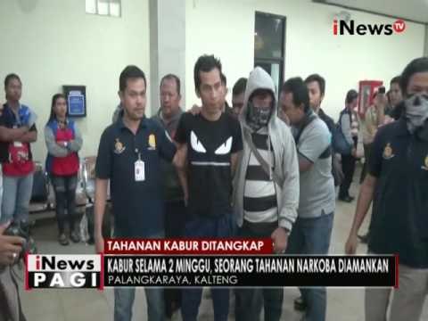 Kabur selama 2 minggu, seorang tahanan narkoba diamankan di Palangkaraya - iNews Pagi 23/09