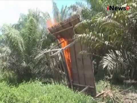 Sengketa lahan tak kunjung selesai, masyarakat adat bakar rumah - iNews Siang 04/10