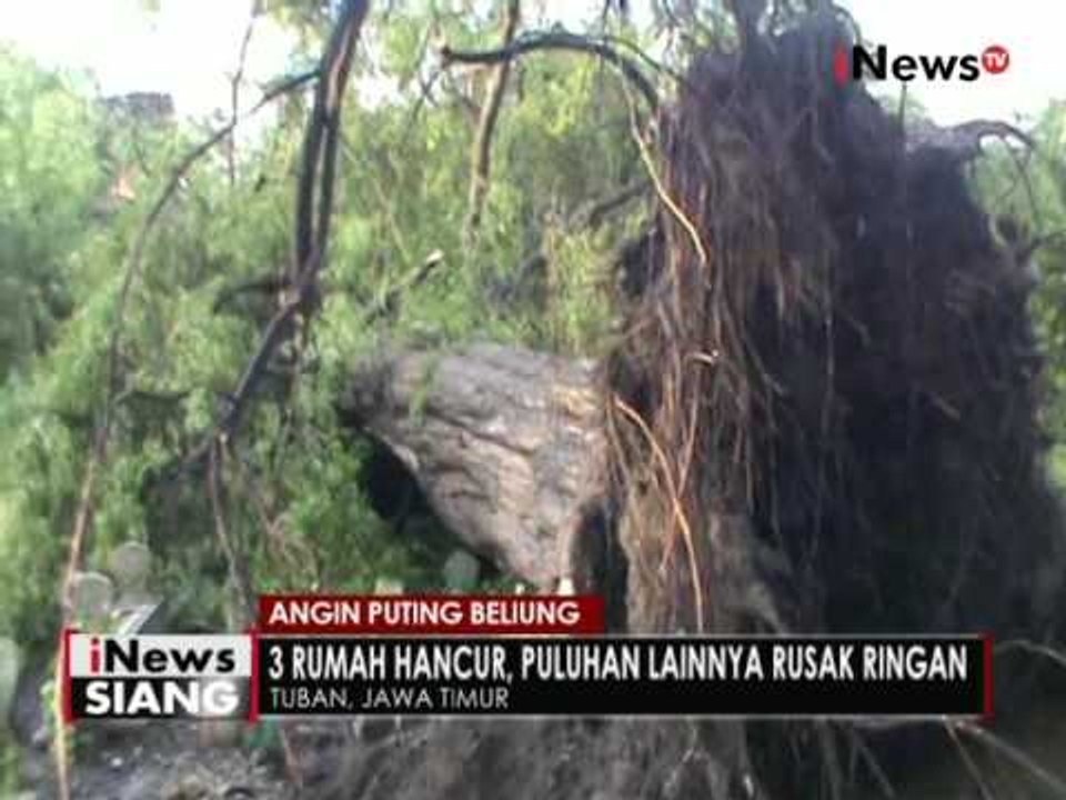 Diterjang puting beliung, 3 rumah hancur & puluhan lainnya rusak ringan di Jatim - iNews Siang 04/10