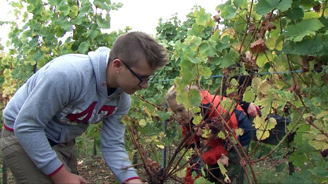 La Ferme Grand Est des Établissements d'Enseignement Agricole Public